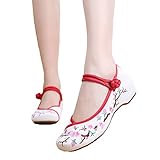 AvaCostume Embroidery Womens Classics Flats Rubber Sole Casual Shoes, White2 37