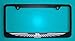 Ford Thunderbird Black License Plate Frame (Zinc Metal)