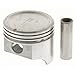 Sealed Power 466NP Engine Piston Set for Buick Electra