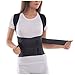 TOROS-GROUP Comfort Posture Corrector Brace/100%-Cotton Liner, Waist/Belly 40