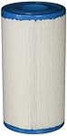 Filbur FC-2385 Antimicrobial Replacement Filter Cartridge for Rainbow/Pentair Dynamic 35 Pool and Spa Filter