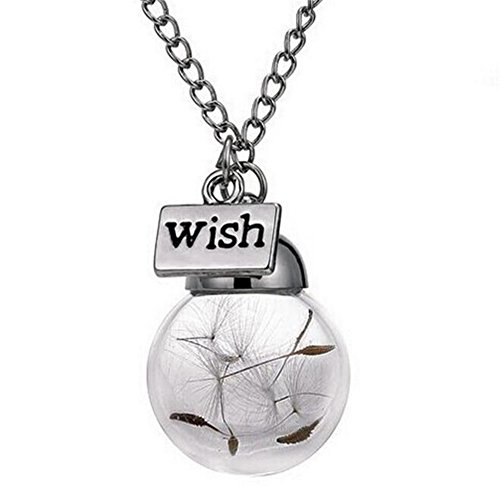Yozone necklace sweater chain jewelry dandelion glass bottle pend…