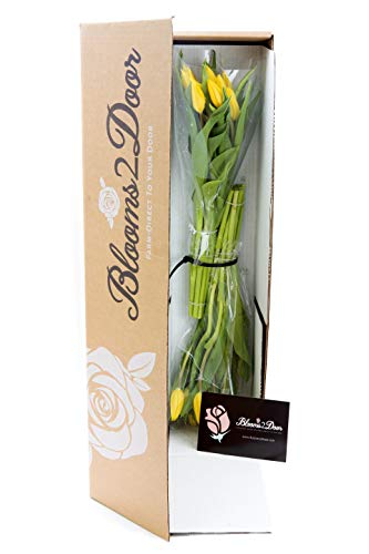 Blooms2Door Valentine's Day Favorite: 20 Yellow Tulips (Farm-Fresh Flowers, Cut-to-Order, and Homegrown in the USA) - Thumbnail 2