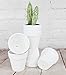 My Urban Crafts 20 Pcs White Terracotta Clay Pots 2.5 Inch Small Succulent Pots Ceramic Mini Plant Pots White Terra Cotta Flower Pots for Cacti Succulents, Crafts, Wedding Favors (Matte White Bisque)