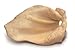 EcoKind Premium Cow Ears for Dogs | 12 Pack | Healthy Dog Chews, 100% Natural, Long Lasting Dog Treats Sourced from All Natural, Grass Fed Cattle with No Additives, Rawhide & Dog Toys Alternative