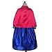 Dressy Daisy Toddler Girls' Ice Princess Sister Costume Dresses Birthday Halloween Christmas Fancy Party OutfitSize 4T