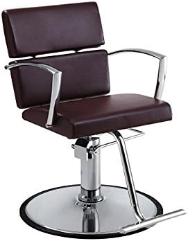 Standish Salon Goods - Charlotte Salon Chair in Brown with Chrome Arms and Round Base Beauty Spa Barber Chair Equipment