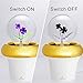 DarkSteve - Violet - Vintage Light Bulb - Edison Style G80 E26 Screw Filament Decorative Light Bulbs #1 Unique Gift