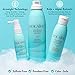 Intro size- Volumizing Hair System – Shampoo, Conditioner and Volumizing Mist – Add Volume, Bounce, Body, Lift, Sulfate Free | Paraben Free | Colored Treated (Intro)