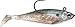 Storm WildEye Swim Shad 03 (Shad, Size- 3)