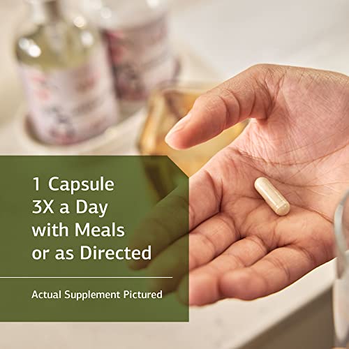 Standard Process Enzycore 150 Capsules Pricepulse