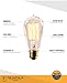 Edison light bulb – 6 Pack – The Capital - 40 Watt Bulb - Choose from many other designs. watt Inspired by Thomas Edison these incandescent filament style bulbs provide retro vintage light ambiance