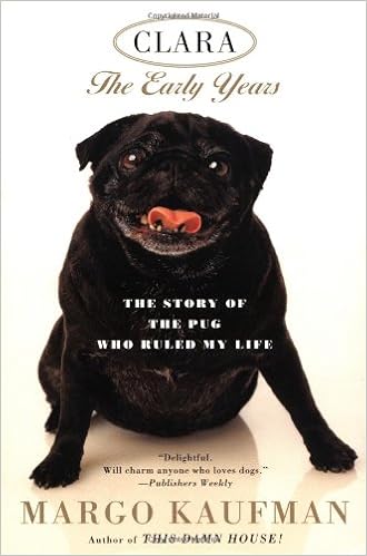 Clara The Story Of The Pug Who Ruled My Life Amazon De Kaufman Margo Fremdsprachige Bucher