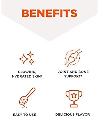 Bulletproof – Vanilla Colágeno Proteínas