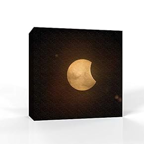 signwin - Canvas Wall Art - Moon Illuminating...