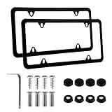 Alpmosn 2PCS Stainless Steel License Plate
