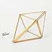 Tchan Glass Plant Terrarium Succulent Planter Prism Geometric Tabletop Brass Glass Artificial Home Decor (Gold)