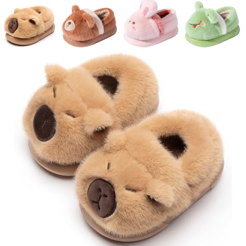 Drecage Toddler Kids Slippers Girls Boys House Shoes Winter Slippers Plush Warm Soft with Cute Cartoon Design Indoor Shoes