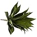 Nearly Natural 6109-S2 Agave Succulent Plant, 17-Inch, Set of 2