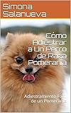 Cómo Adiestrar a Un Perro de Raza Pomerania: Adiestramiento Fácil de un Pomerania (Spanish Edition)