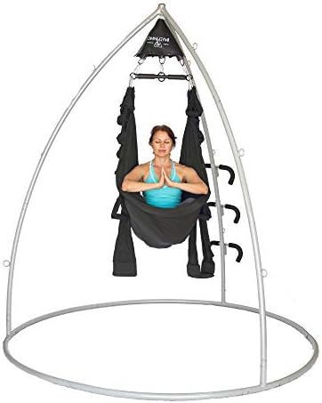Omni Gym- The Includes a Yoga Swing, Spring Trapeze, and Stand for Aerial Yoga, Suspension Trainer, Inversion, Back Pain