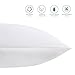 HOMFY Queen 100% Cotton Pillows for Sleeping, Set of Two Standard Premium Super Soft Bedding Pillow, Hypoallergenic, Anti Dust Mite and Mold & Mildew Resistant - White (White, Standard)