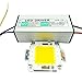 GLW Waterproof 50W LED Driver Power Supply Barretter and 3000k Warm White Led Chip Bulb DIY
