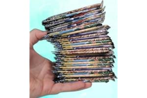 Scarlet & Violet Booster Pack: Authentic Factory Sealed (Includes Mystery Card Bundle - V/EX/VMAX 1 in 3) Bonus: Free Protect