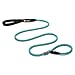Ruffwear - Just-a-Cinch, Dog Slip Leash, Blue Spring