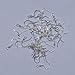 40pcs/20 Pairs 925 Sterling Silver Earring Hooks Fish Hook Earrings French Wire Hooks Jewelry Findings Earring Parts DIY Making