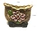 MZ Gardens Handmade Decorative Ceramic Succulent planters pots Flower Pots Planters Containers 4 in 1 Set with Drainage Screens