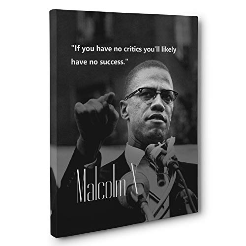 Malcolm X Motivational Quote Canvas Wall Art Pricepulse