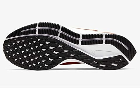 nike air zoom pegasus 36 tb