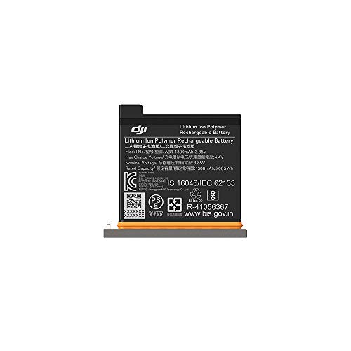 Osmo Action Battery for DJI OSMO Action, DJI Original OSMO Action Battery with Luckybird USB Reader & LUCKYBIRD Type C Charging Cable 40 Inch(1 Pack)