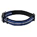 Mile High Life Reflective Dog Collar | Nylon Pet Collars wiith Buckle | Light Weight Puppy Collars | Blue Dog Collars for Small Dogs (Blue, X-S)