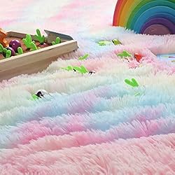PAGISOFE 4x6 Rainbow Fluffy Soft Plush Area Rugs