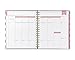 Day Designer for Blue Sky 2019 Weekly & Monthly Planner, Hardcover, Twin-Wire Binding, 8