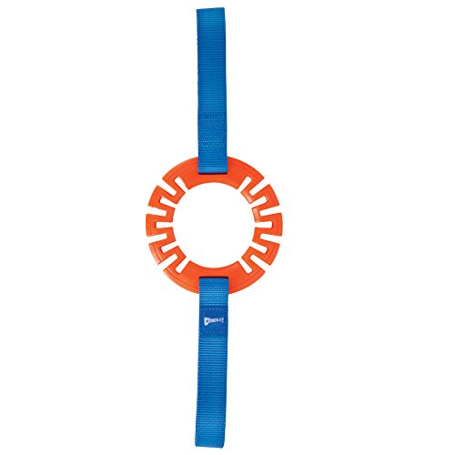 Chuckit! Ring Tug Dog Toy, Large