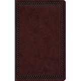 ESV Large Print Value Thinline Bible (TruTone, Mahogany, Border Design)