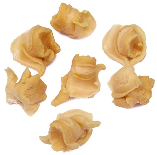 Geomar Gourmet Seafood, Sea Conchs (Caracoles), 15-Ounce Cans (Pack of 3) - Thumbnail 2