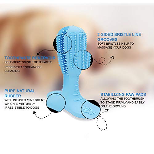 LAROSA MEDICAL Dog Chew Toothbrush - 2019 Upgraded Dog Toothbrush Toy - Safe, Non-Toxic and Durable Dog Toothbrush Stick - Best Dog Toothbrush  