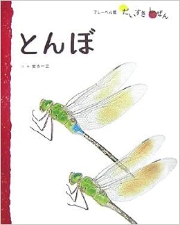 とんぼ フレーベル館だいすきしぜん むし 一正 安永 本 通販 Amazon とんぼ フレーベル館だいすきしぜん むし 一正 安永 本 通販 Amazon