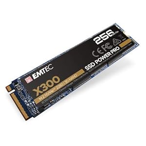 SSD 256GB 1700/1000 X300 PCIe3 M.2 ETC | ECSSD256GX300
