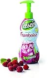 Teisseire Raspberry French Syrup Large hard plastic bottle 750ml 25.4fl.oz