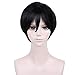 BERON Short Straight Wigs for Cosplay Party DIY Styling Fun Wigs with Hairnet (Black)