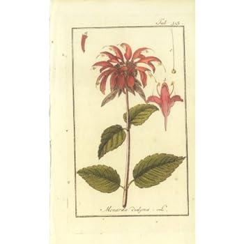 Amazon Com 15 Beautiful Floral Botanical Herb Prints Pictures Of