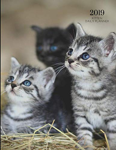 2019 Kitten Daily Planner: Hourly Organizer In 15 Minute Interval; Appointment Cat Calendar With Address Book & Note Section; Monthly & Weekly Goals Journal With Quotes; Academic Notebook by ZenWerkz