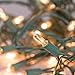 Brightown Clear Christmas Mini Lights - 100 Count 25 Feet Green Wire Incandescent Bulb Mini String Lights for Indoor Holiday Xmas Tree Garland Birthday Wedding Party Festival Decoration