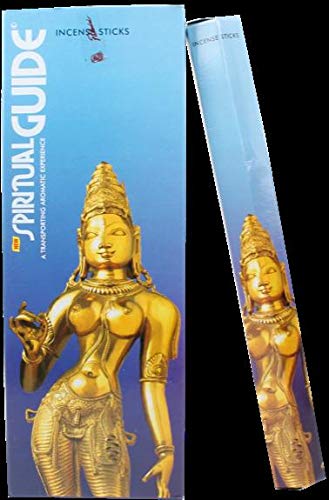 Encens spiritual guide - 20 grs - padmini - lot de 6 boites ...