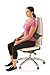 The Original McKenzie Lumbar Roll by OPTP - Low Back Support for Office Chairs and Car Seats